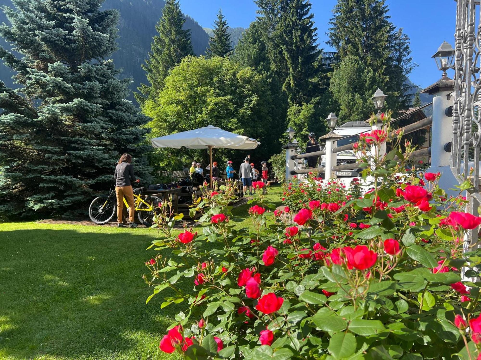 B&B Garni Villa Campitello Campitello di Fassa Zewnętrze zdjęcie